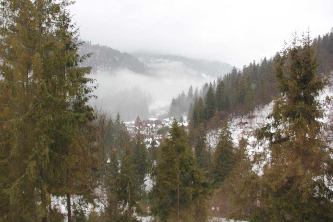 Na Gori Vila Slavske Exterior foto